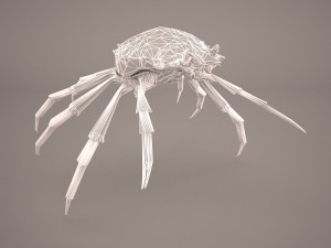 tasmanian giant crab 3D-Modell
