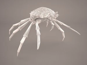 तस्मानियाई विशाल केकड़ा 3D मॉडल