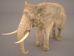 elephant 3Dモデル