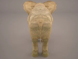 слон 3D Модель