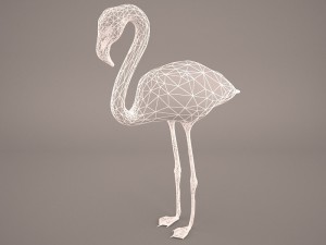 phoenicopterus roseus greater flamingo Modèle 3D