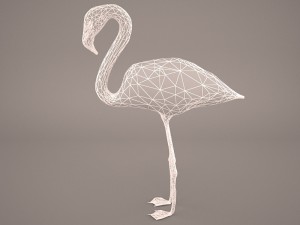 phoenicopterus roseus greater flamingo Modèle 3D