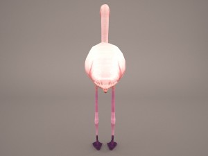 phoenicopterus roseus greater flamingo Modèle 3D