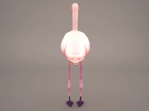 phoenicopterus roseus greater flamingo 3D Model