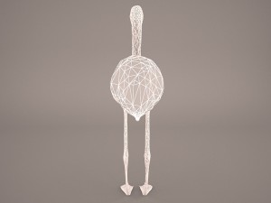 phoenicopterus roseus greater flamingo Modèle 3D
