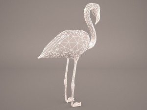 phoenicopterus roseus greater flamingo Modèle 3D