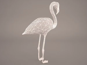 phoenicopterus roseus greater flamingo 3D Model
