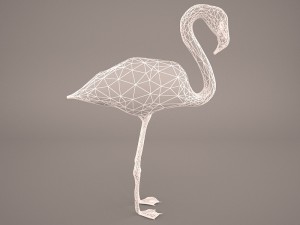 phoenicopterus roseus greater flamingo Modèle 3D