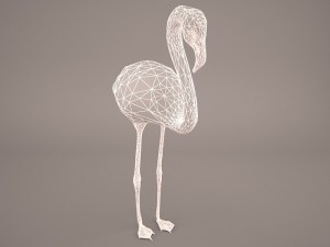 phoenicopterus roseus greater flamingo Modèle 3D