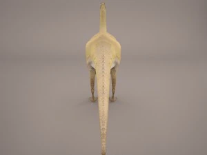 gallimimus 3D Model