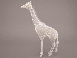 giraffe Model 3D