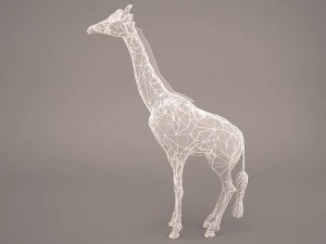 giraffe 3D Model