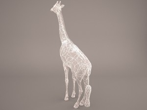 giraffe Model 3D