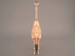 giraffe 3D Model