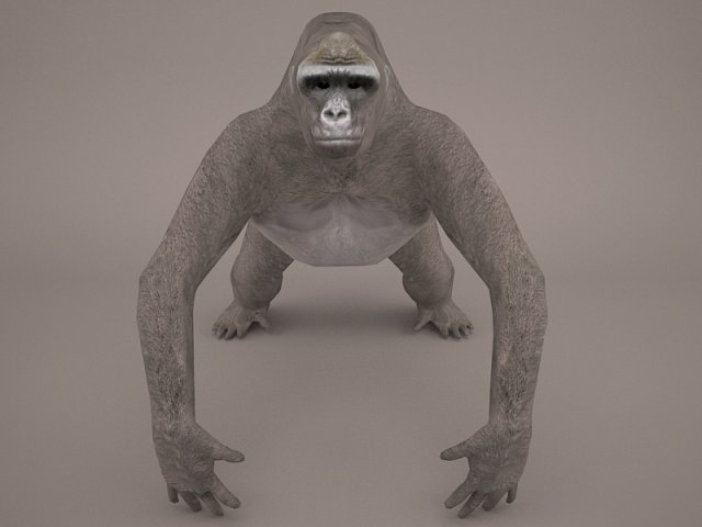 gorilla 3Dモデル .c4d .max .obj .3ds .fbx .stl .blend 