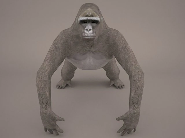 gorilla 3D Model .c4d .max .obj .3ds .fbx .stl .blend 