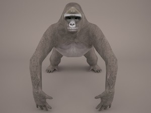 gorilla Model 3D