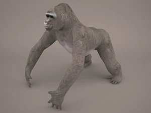 gorilla 3D Model
