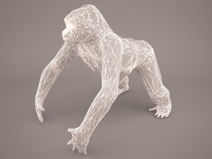 gorilla 3Dモデル