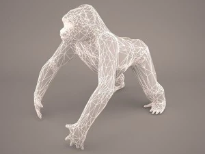 gorilla 3D Model