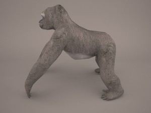gorilla 3Dモデル