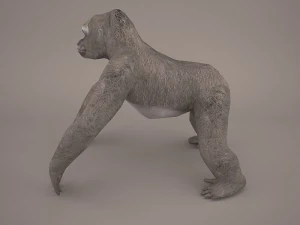gorilla 3D Model