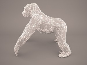 gorilla 3Dモデル