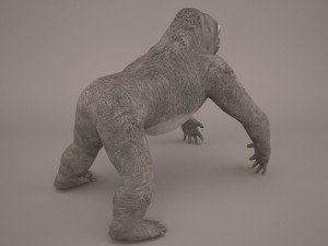 gorilla 3Dモデル