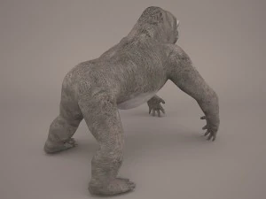 gorilla 3D Model