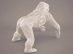 gorilla 3D Model