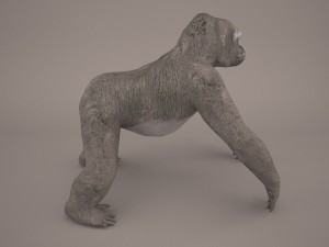 gorilla 3Dモデル