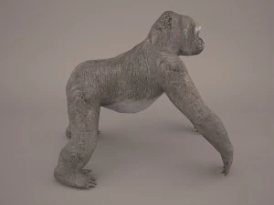 gorilla 3D Model