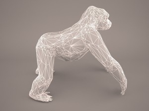 gorilla 3Dモデル
