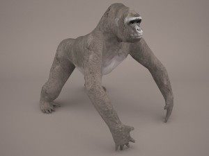 gorilla 3Dモデル