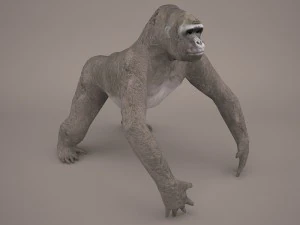 gorilla 3D Model