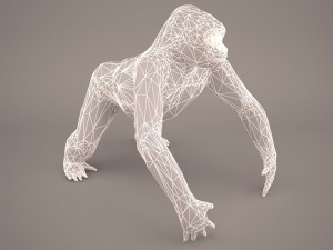 gorilla 3Dモデル