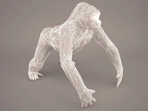 gorilla 3D Model