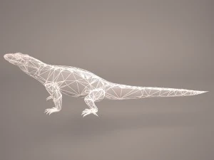 komodo dragon 3D Model