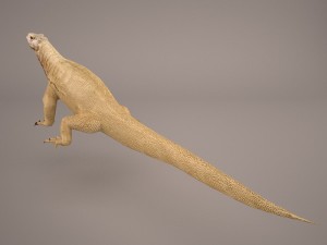komodo dragon 3D मॉडल