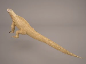 komodo dragon 3D Model