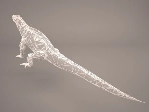 komodo dragon 3D Model