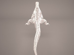komodo dragon 3D मॉडल