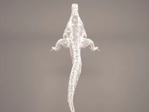 komodo dragon 3D Model