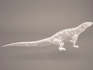 komodo dragon 3D Model