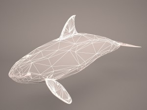 orca whale 3Dモデル