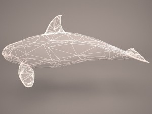 orca whale 3Dモデル