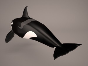 orca whale 3Dモデル