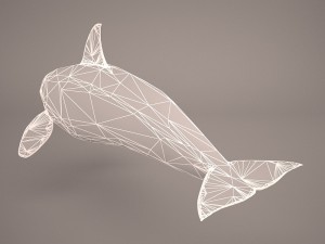 orca whale 3Dモデル