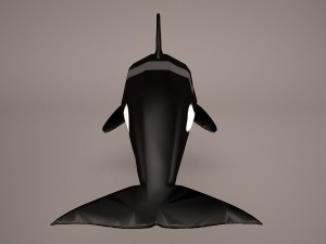 orca whale 3Dモデル