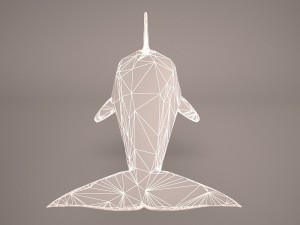 orca whale 3Dモデル